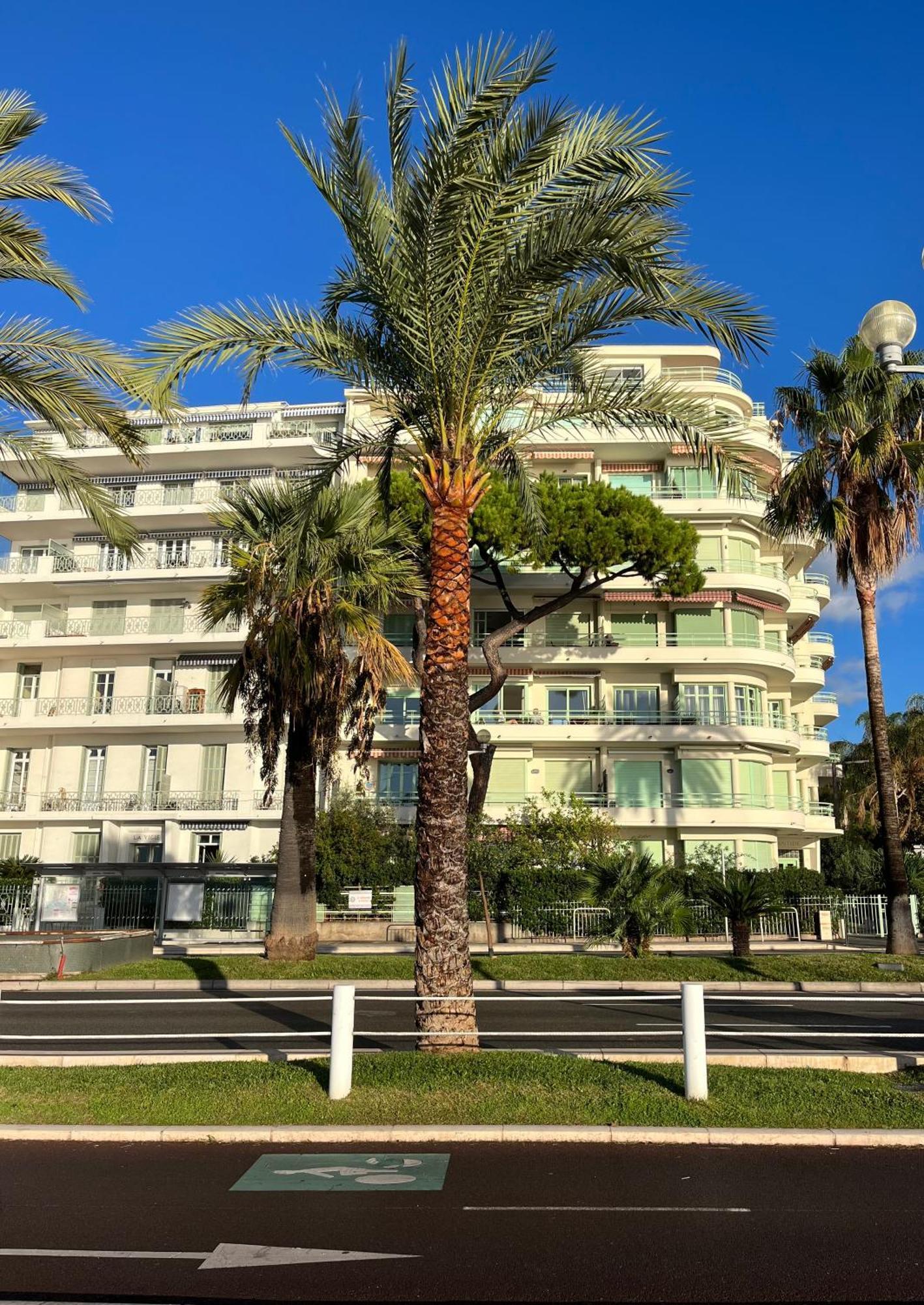 Nice 115 By The Sea ภายนอก รูปภาพ